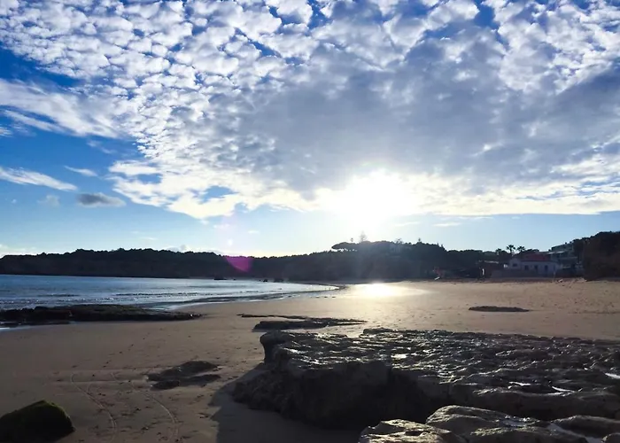 Appartement New Stunning Ocean Aprt In 